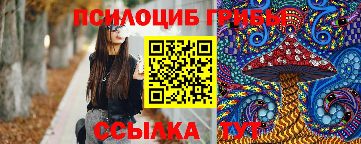 Псилоцибиновые грибы Cubensis  Вход с VPN  Батайск 